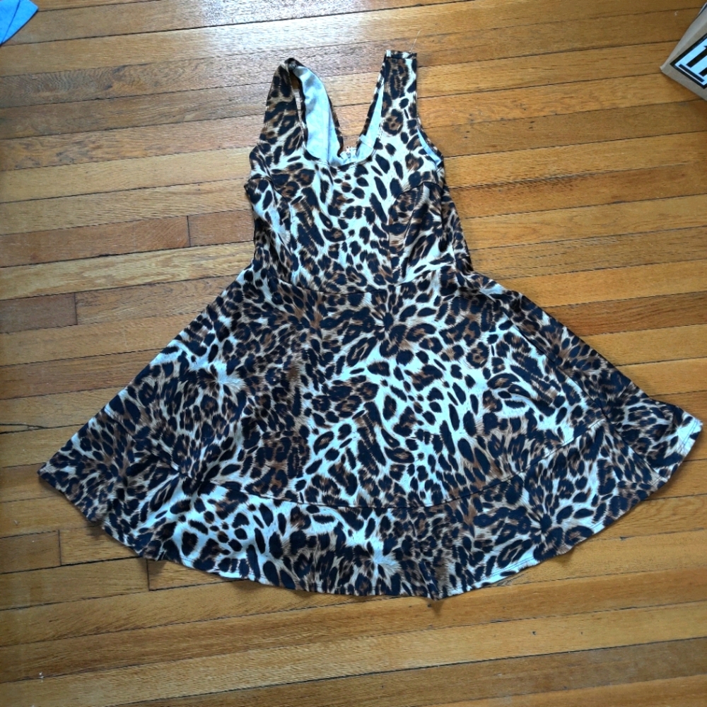 Animal Print A-line Skater Dress